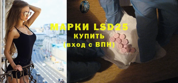 гидра Аркадак