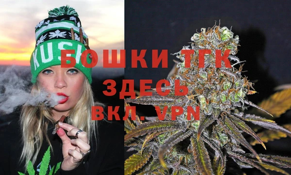 гидра Аркадак